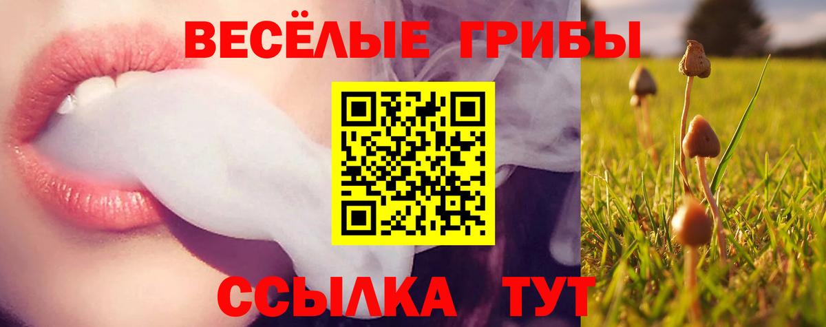 Новоуральск  Галлюциногенные грибы Psilocybe  Вход с VPN 